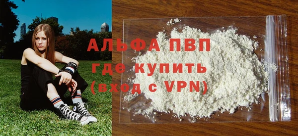 PSILOCYBIN Снежногорск