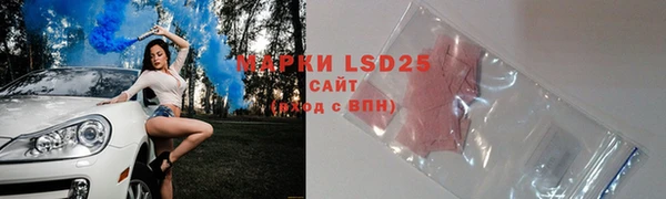 PSILOCYBIN Снежногорск