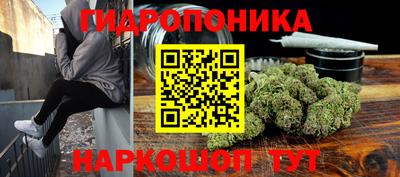 apvp Краснодар