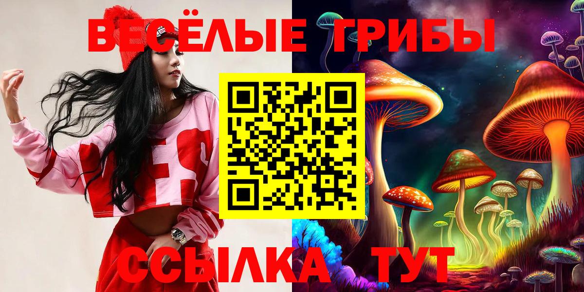 Галлюциногенные грибы прущие грибы  Вход с VPN  Кудымкар 