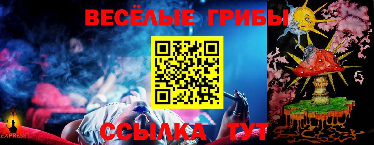 Галлюциногенные грибы GOLDEN TEACHER Кудымкар